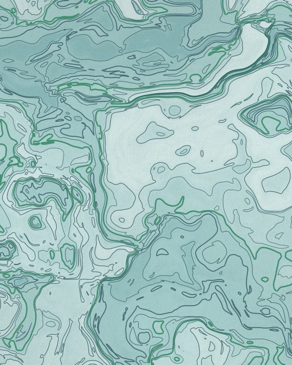 Seafoam and teal contour lines like a coastal map, calm abstract print